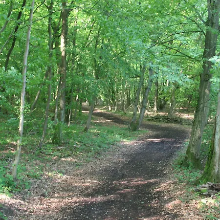 Sportschule Bitburg - Sportpark-Hotel Bitburg