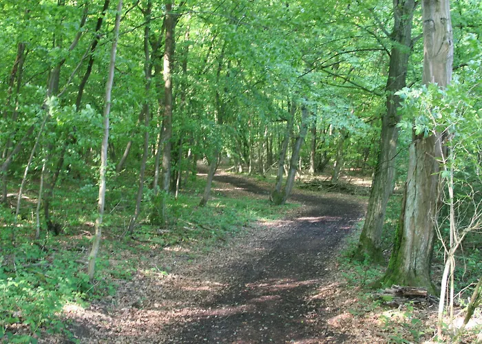 Sportschule - Sportpark-hotel بيتبورغ